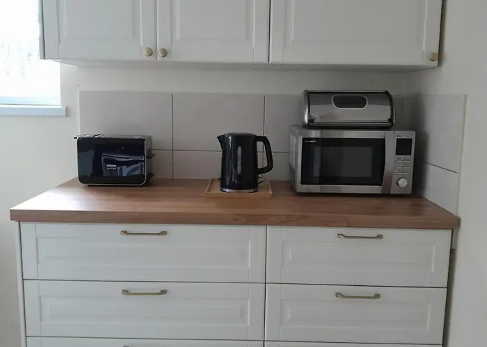 客房公寓酒店 * 米兹多洛杰