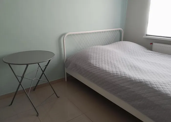 客房公寓酒店 公寓 *